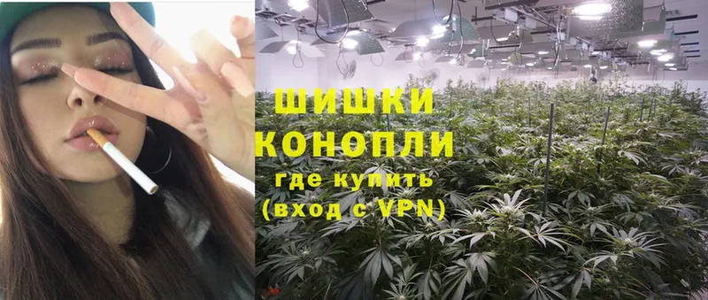 Марихуана THC 21%  купить закладку  Избербаш 